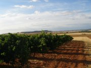 Bodegas