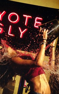 coyote_ugly_2_1265123726.jpg