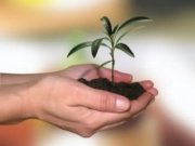 desarrollo de nuevos proyectos empresariales