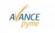 Avance Pyme 2007