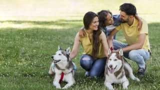 SL de Suplementación y snacks para mascotas (perros y gatos)