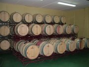 Dos Bodegas con viñedos en Aragón 