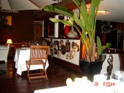 terrasa_abierta_1241863252.jpg