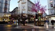 Buscamos socio inversor para apartamentos turisticos en Granada