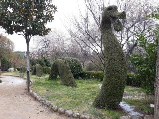 se-vende-el-bosque-encantado-3_1752689492.jpg