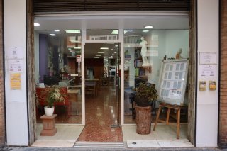 Traspaso de Academia de Bellas Artes en Valencia – Una Oportunidad Única para Inversores, Profesionales y Más