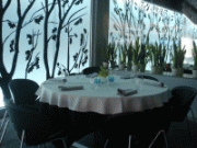 traspaso_restaurante_puerto_banus_12662448173.gif