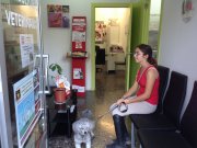 consultorio_veterinario_y_peluqueria_canina_14070121683.jpg