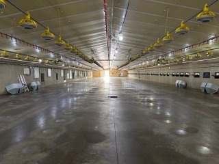 venta-granjas-de-pollos-3_1746350264.jpg