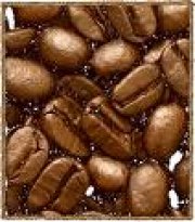 Elaboración industrial de cafés y cacao soluble