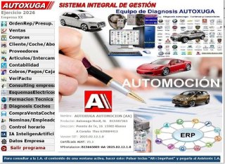 Software de gestión y diagnosis coches