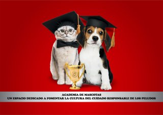 academia de mascotas