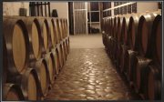 Venta de Bodega de vinos en valdepeñas por Jubilacion