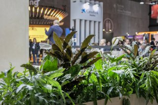 alquiler-de-plantas-para-empresas-2_1752510087.jpg