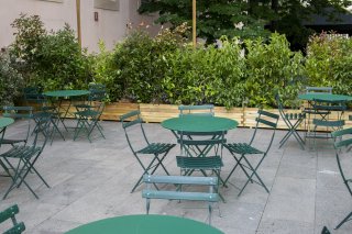 alquiler-de-plantas-para-empresas-3_1752510087.jpg