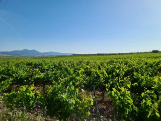 exclusiva-bodega-3_1750322928.jpg