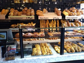 cafeteria-y-panaderia-en-paseo-de-zorrilla-2_1723807998.jpg