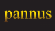PANNUS